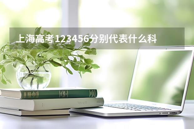 上海高考123456分别代表什么科目？