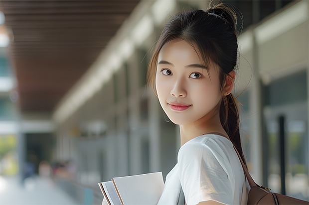 河北美术学院分数线（河北美术学院专科升本科分数线）