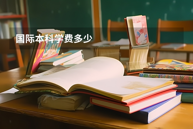 国际本科学费多少