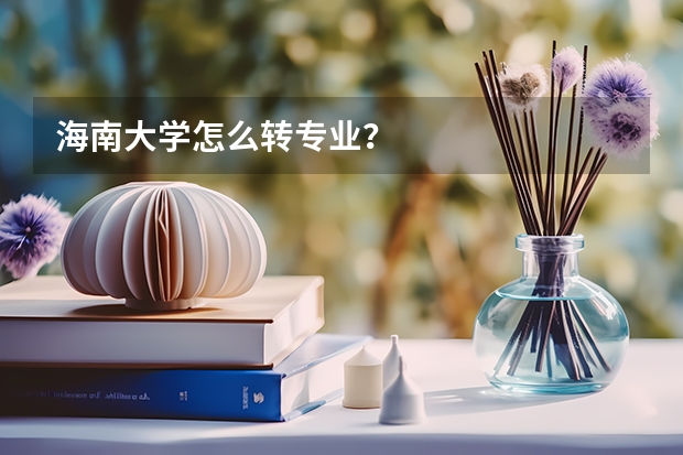 海南大学怎么转专业?
