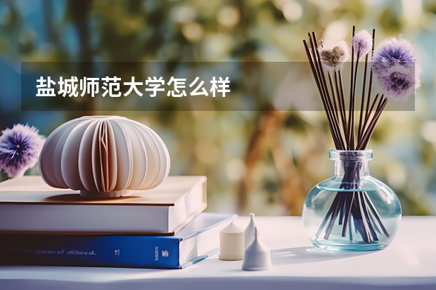 盐城师范大学怎么样