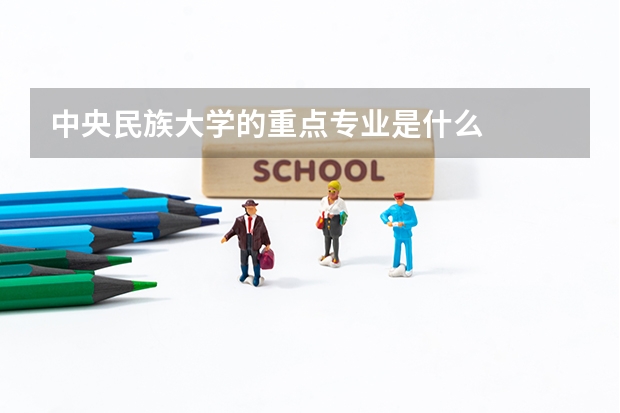 中央民族大学的重点专业是什么