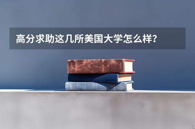 高分求助这几所美国大学怎么样？