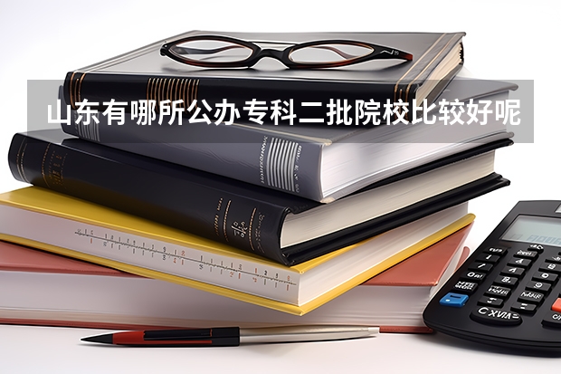 山东有哪所公办专科二批院校比较好呢？广告之类的毁人前途的就别掺和了