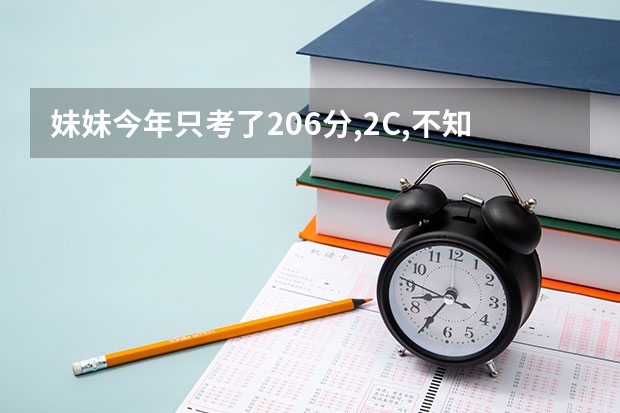 妹妹今年只考了206分,2C,不知道能上什么专科学校,请求帮助?