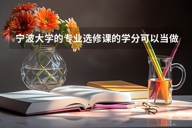 宁波大学的专业选修课的学分可以当做任意学分吗？多出来的创新学分可以当做任意学分吗？