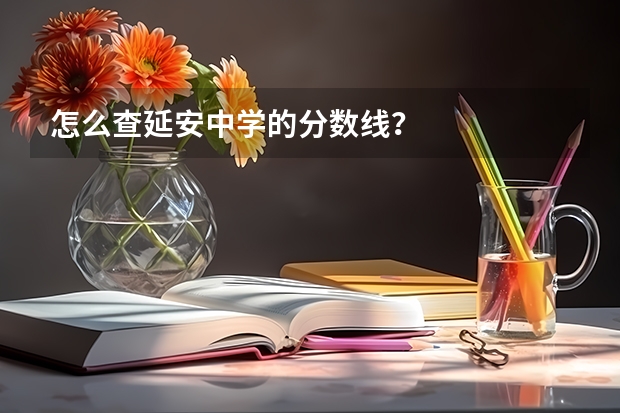 怎么查延安中学的分数线？