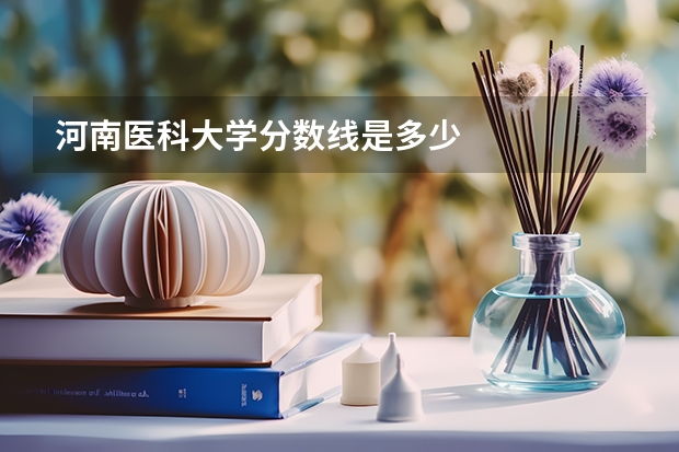 河南医科大学分数线是多少