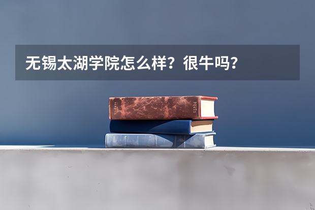 无锡太湖学院怎么样？很牛吗？