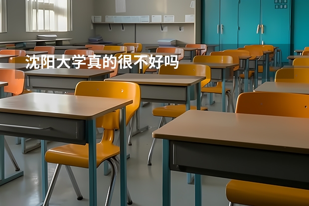 沈阳大学真的很不好吗