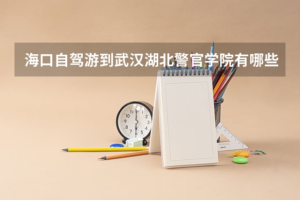 海口自驾游到武汉湖北警官学院有哪些路线