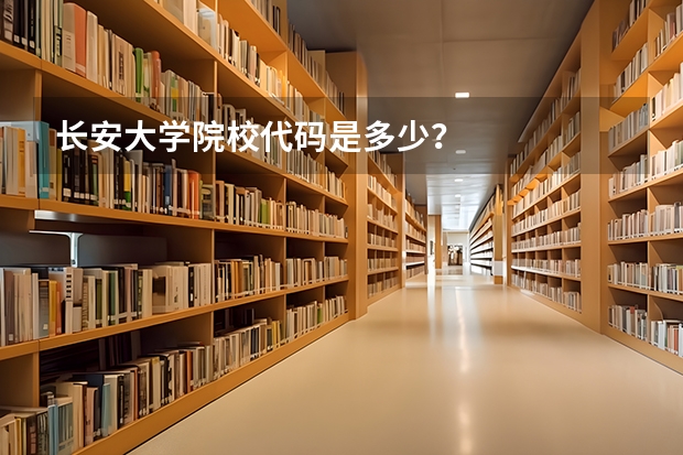 长安大学院校代码是多少？