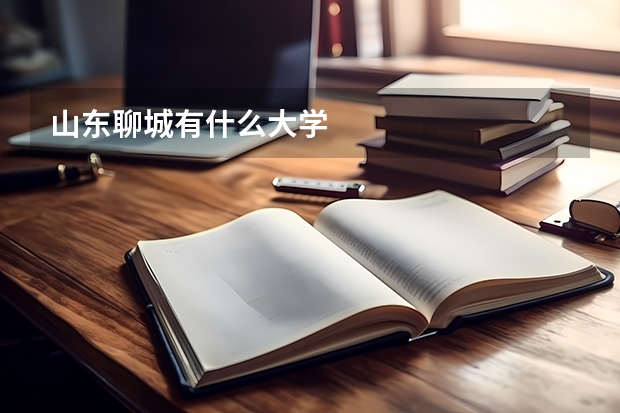 山东聊城有什么大学