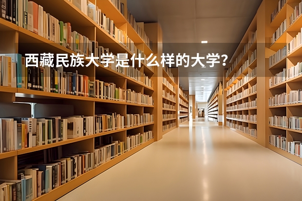 西藏民族大学是什么样的大学？