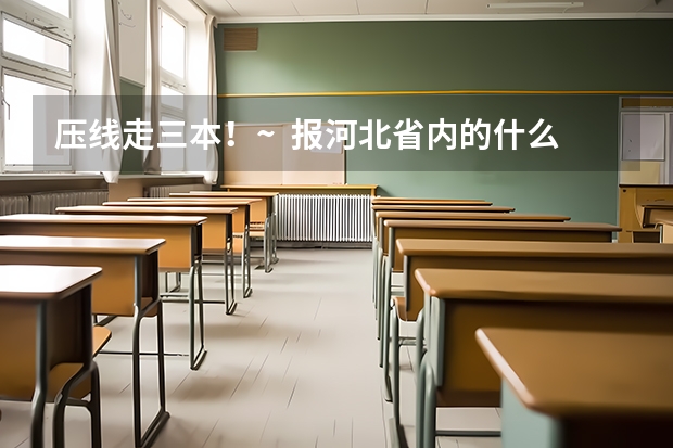 压线走三本！~  报河北省内的什么学校？ （我是河北想走三本）