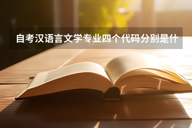 自考汉语言文学专业四个代码分别是什么意思