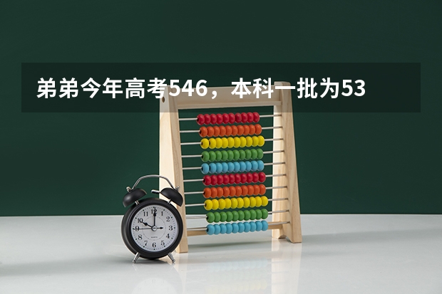 弟弟今年高考546，本科一批为539。应该怎么填报志愿。福建的。