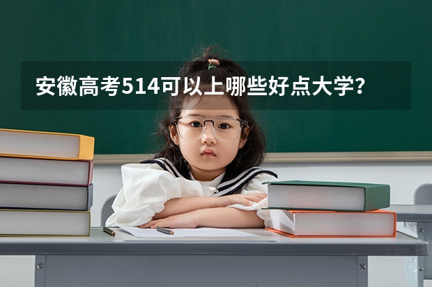 安徽高考514可以上哪些好点大学？