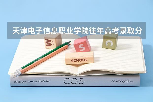 天津电子信息职业学院往年高考录取分数线是多少？今年大约要多少能上？