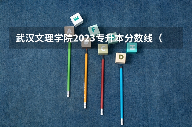 武汉文理学院2023专升本分数线（武汉文理学院艺术生分数线）