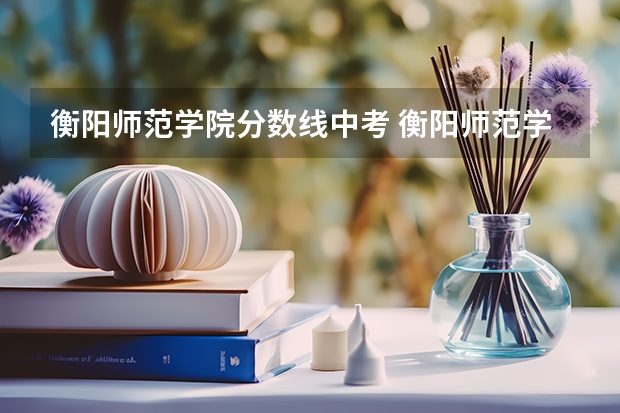 衡阳师范学院分数线中考 衡阳师范学院录取分数线