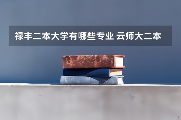 禄丰二本大学有哪些专业 云师大二本专业有哪些