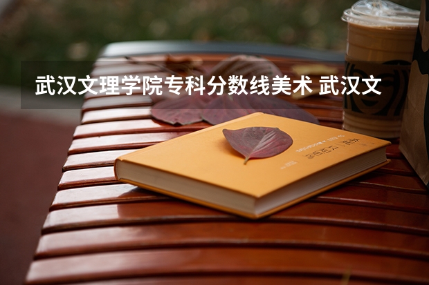 武汉文理学院专科分数线美术 武汉文理学院分数线