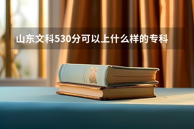 山东文科530分可以上什么样的专科学校？