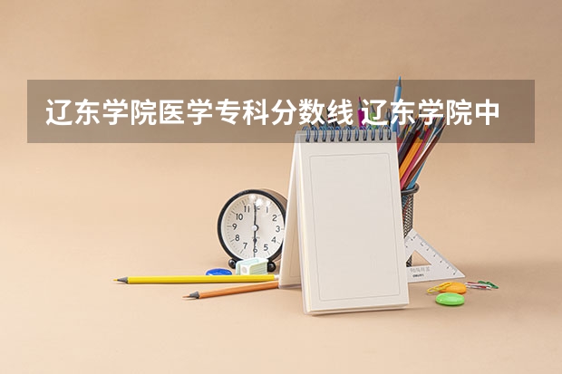 辽东学院医学专科分数线 辽东学院中外合作办学分数线