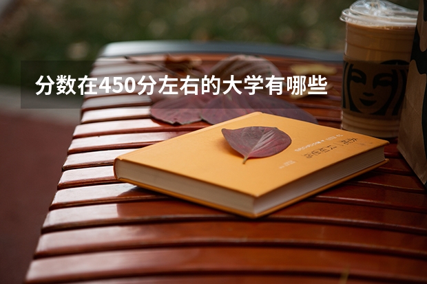 分数在450分左右的大学有哪些