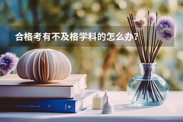 合格考有不及格学科的怎么办？