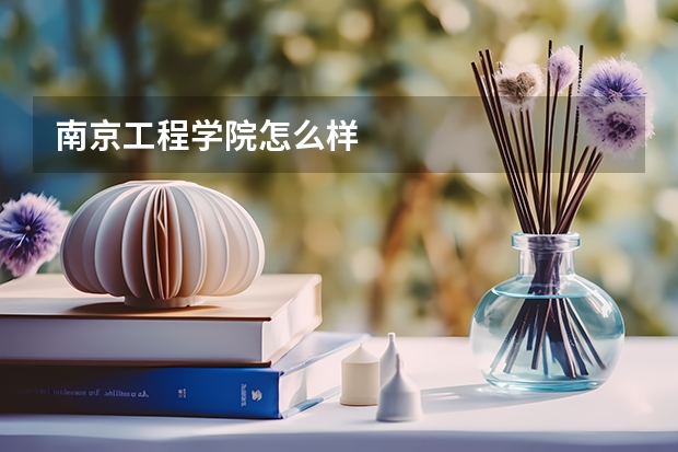南京工程学院怎么样