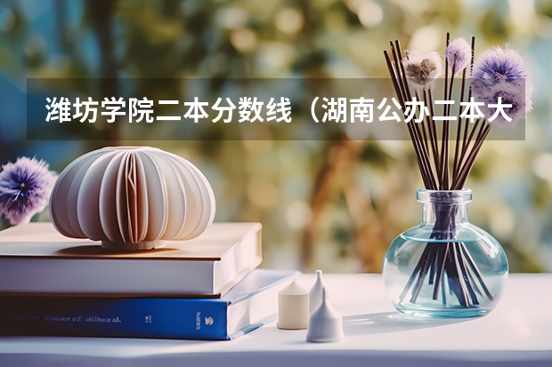 潍坊学院二本分数线（湖南公办二本大学录取分数线）