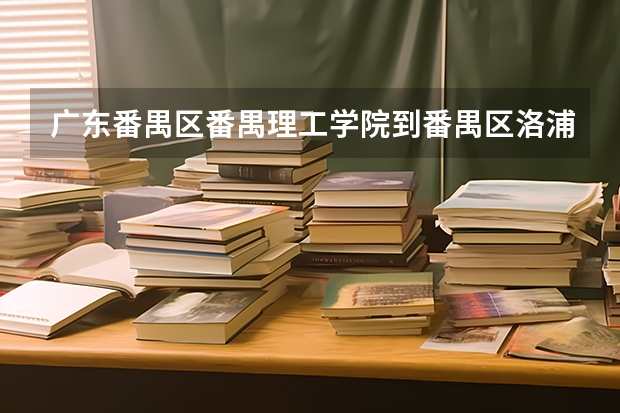 广东番禺区番禺理工学院到番禺区洛浦街东乡村碧桂路3号怎么走