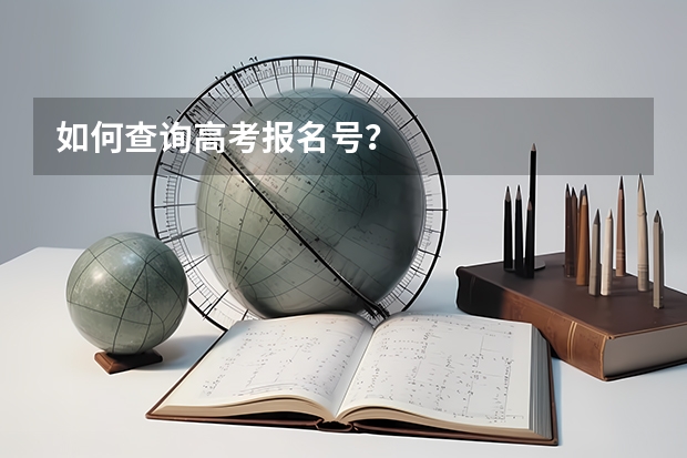 如何查询高考报名号？