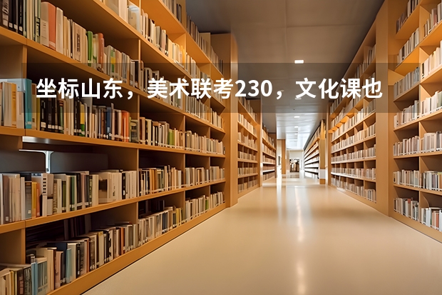 坐标山东，美术联考230，文化课也就370左右，能上本科吗