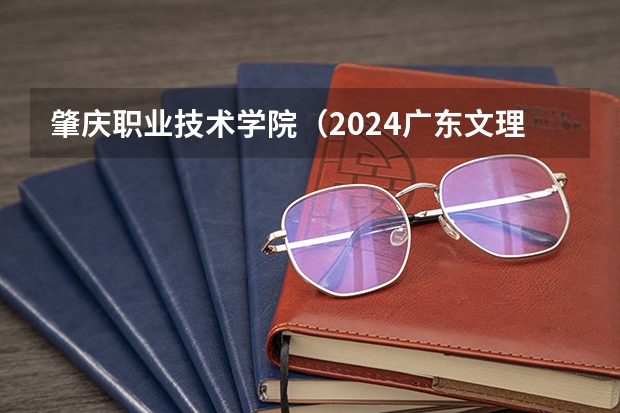 肇庆职业技术学院（2024广东文理职业学院各专业录取分数线）