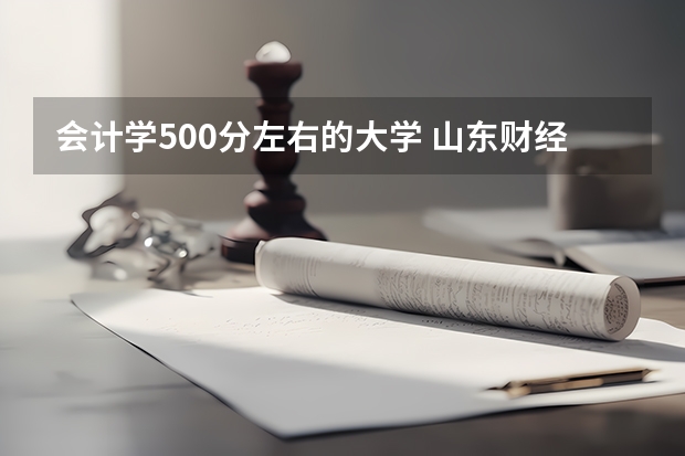 会计学500分左右的大学 山东财经大学分数线