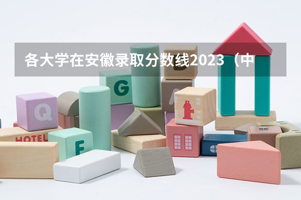 各大学在安徽录取分数线2023（中国政法大学研究生分数线2023）