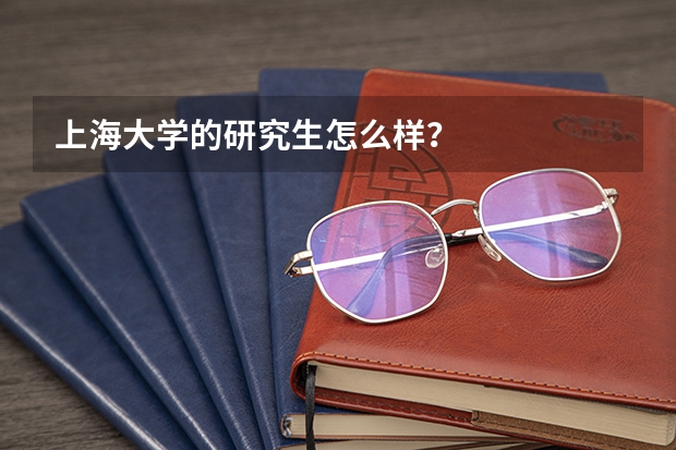 上海大学的研究生怎么样？