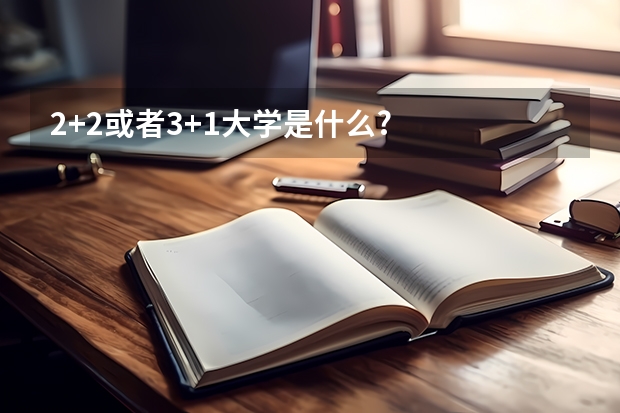 2+2或者3+1大学是什么?