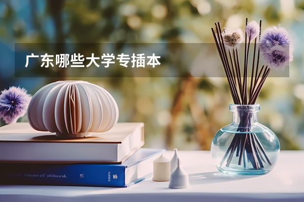 广东哪些大学专插本