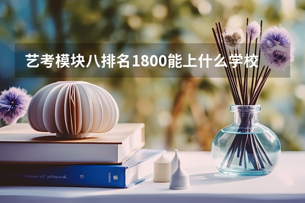 艺考模块八排名1800.能上什么学校？