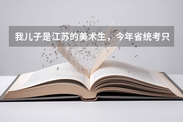 我儿子是江苏的美术生，今年省统考只考了161分，刚过本科线155分他应该怎么选择学校