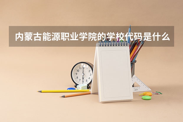 内蒙古能源职业学院的学校代码是什么