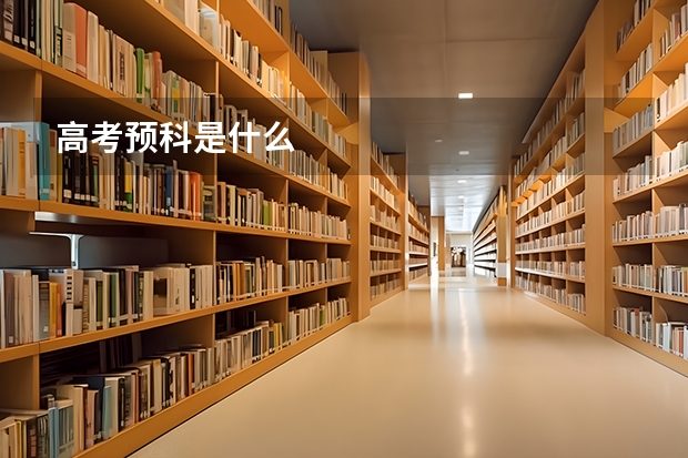 高考预科是什么