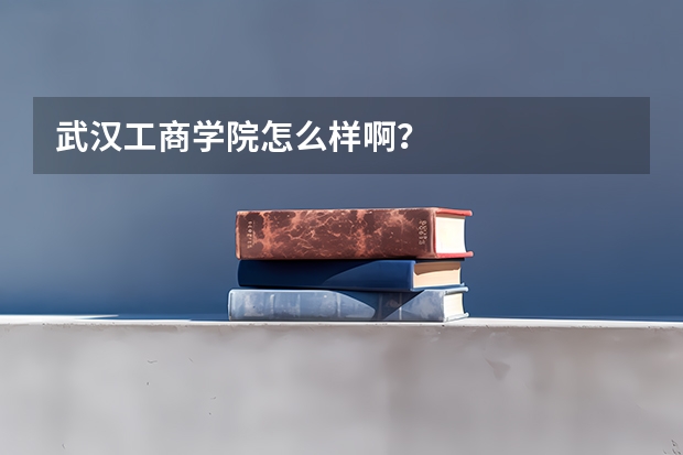 武汉工商学院怎么样啊？