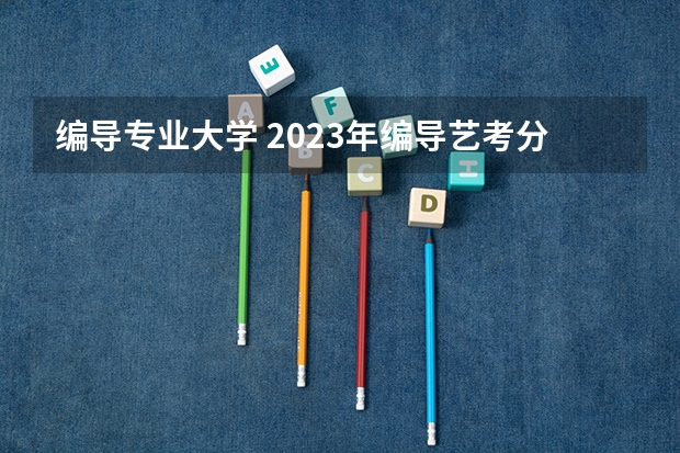 编导专业大学 2023年编导艺考分数线