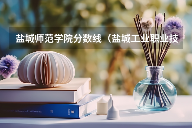 盐城师范学院分数线（盐城工业职业技术学院录取分数线）