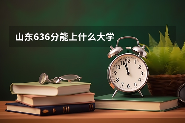 山东636分能上什么大学